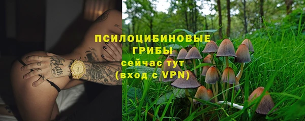 бошки Богородск